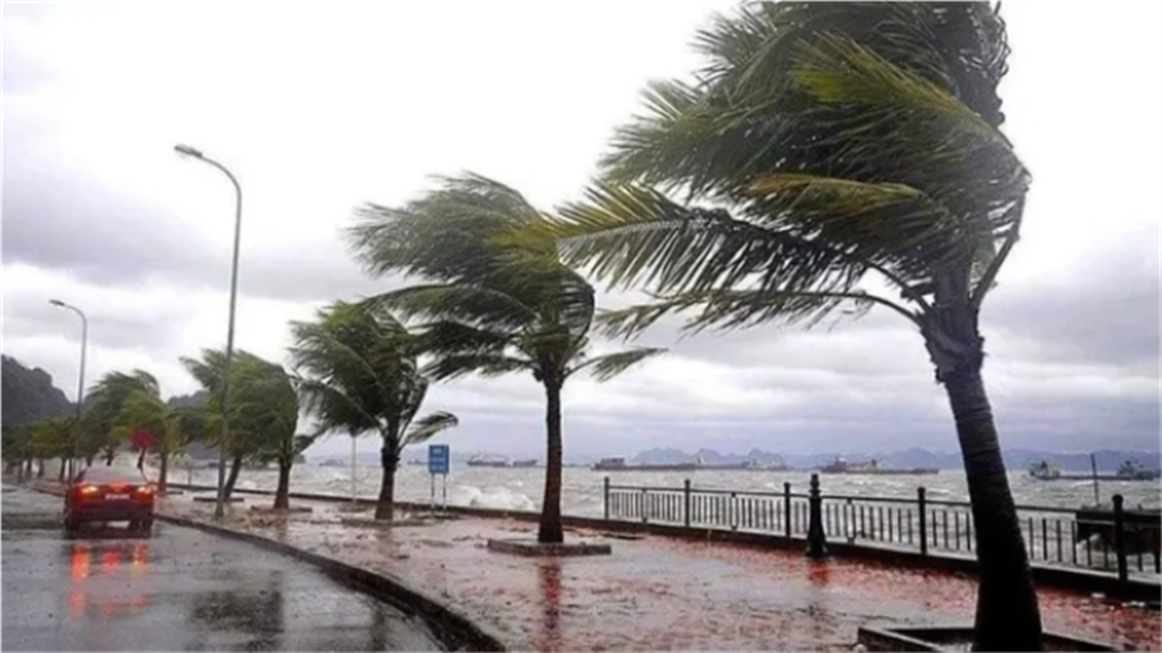 حالة الطقس اليوم.. الأرصاد تُحذر من أمطار ورياح تضرب تلك المناطق